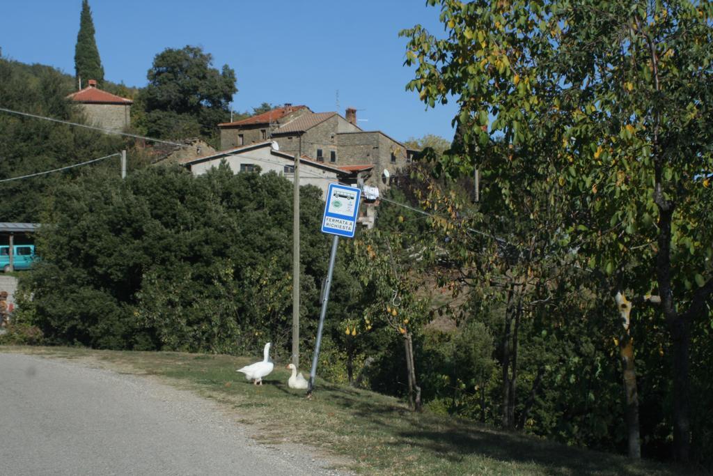L'Ariete Guest House Montone  Exterior photo
